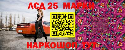 стаф Будённовск