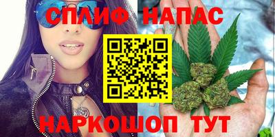 прущие грибы Бузулук