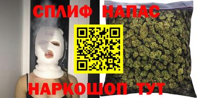 стаф Будённовск
