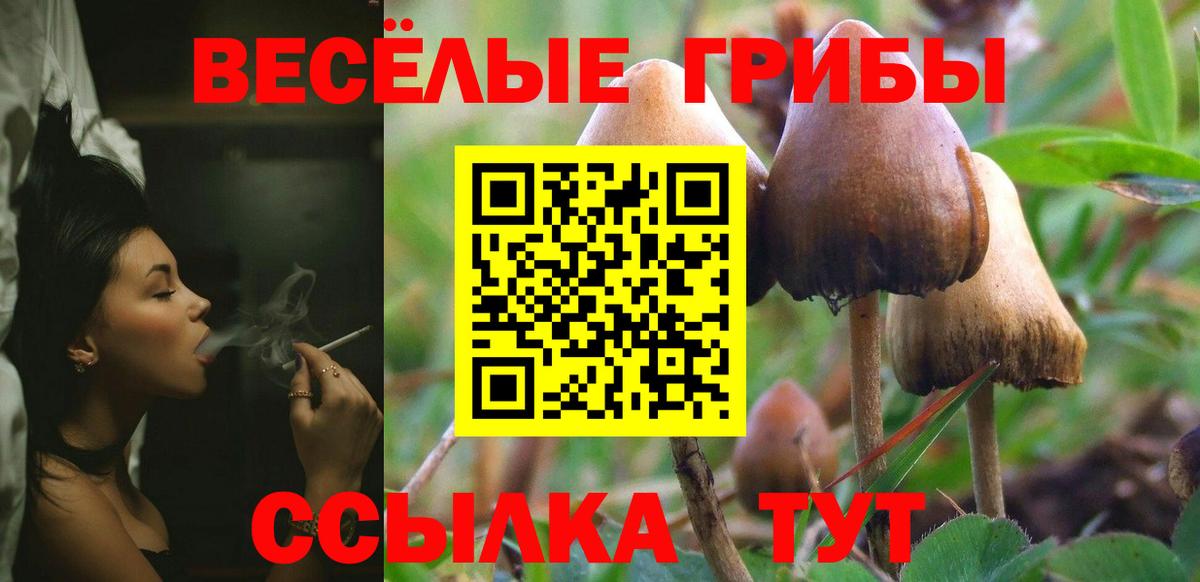 Псилоцибиновые грибы GOLDEN TEACHER  Галлюциногенные грибы MAGIC MUSHROOMS  Вход с VPN  Ростов-на-Дону 