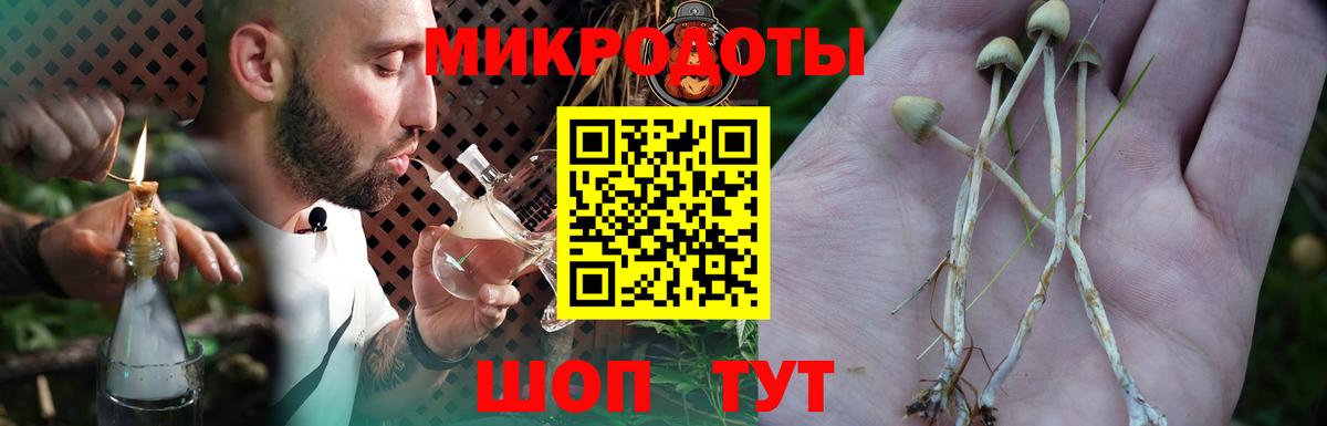Псилоцибиновые грибы Magic Shrooms Ростов-на-Дону